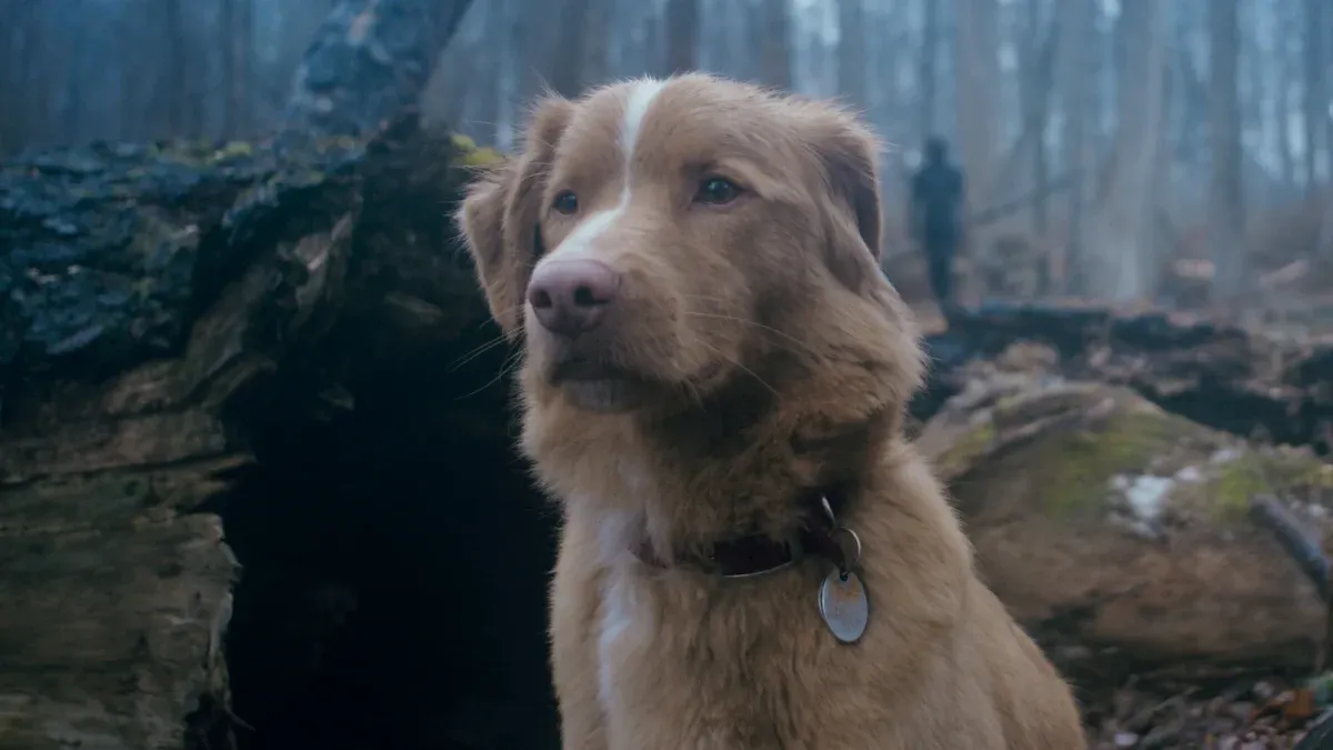 ¿Indy, el perro, muere en la película “Good Boy”? La pregunta que se disparó un 2000% en Google