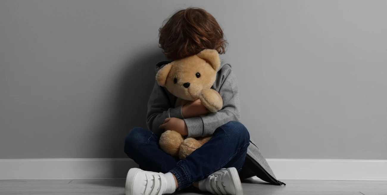 Desmantelan una red de pedofilia en Salta en un megaoperativo internacional