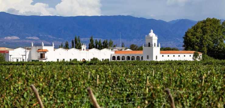 Alerta en Cafayate: Denuncian despidos masivos en el Grupo Peñaflor y anuncian medidas legales