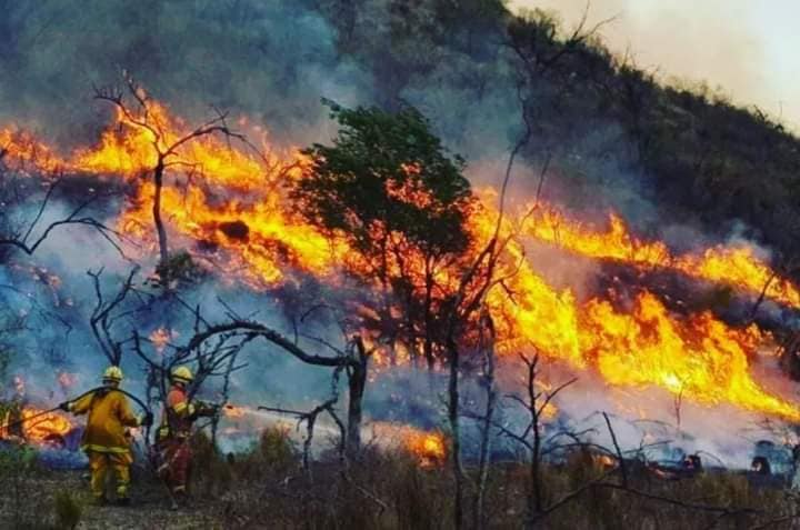 Salta perdió una superficie equivalente a diez veces la Ciudad de Buenos Aires por incendios forestales