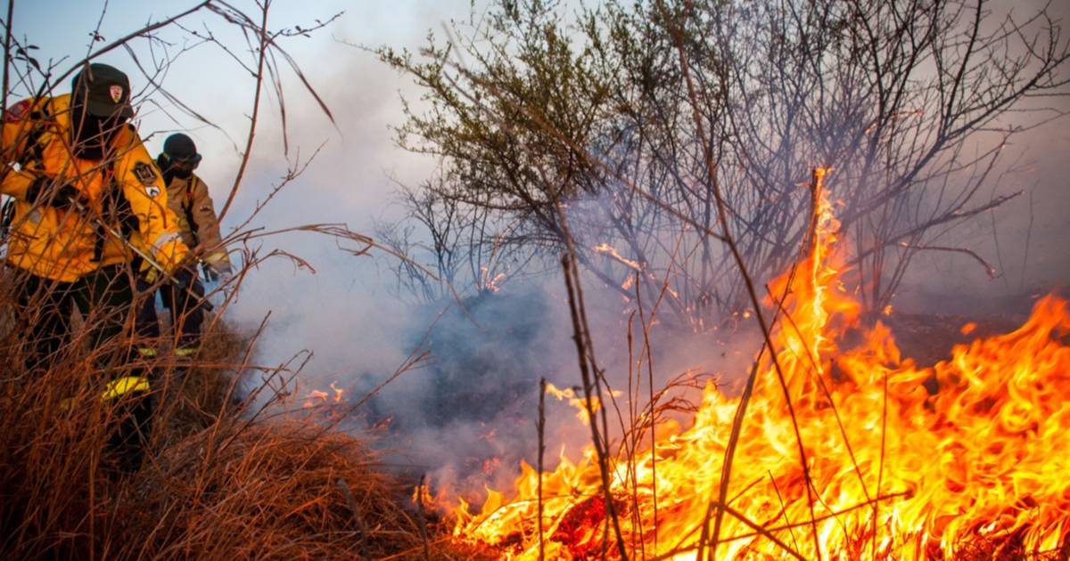 Alerta en Salta: Incendios Forestales Arrasan 2.400 Hectáreas y Desafían la Capacidad de Respuesta Local