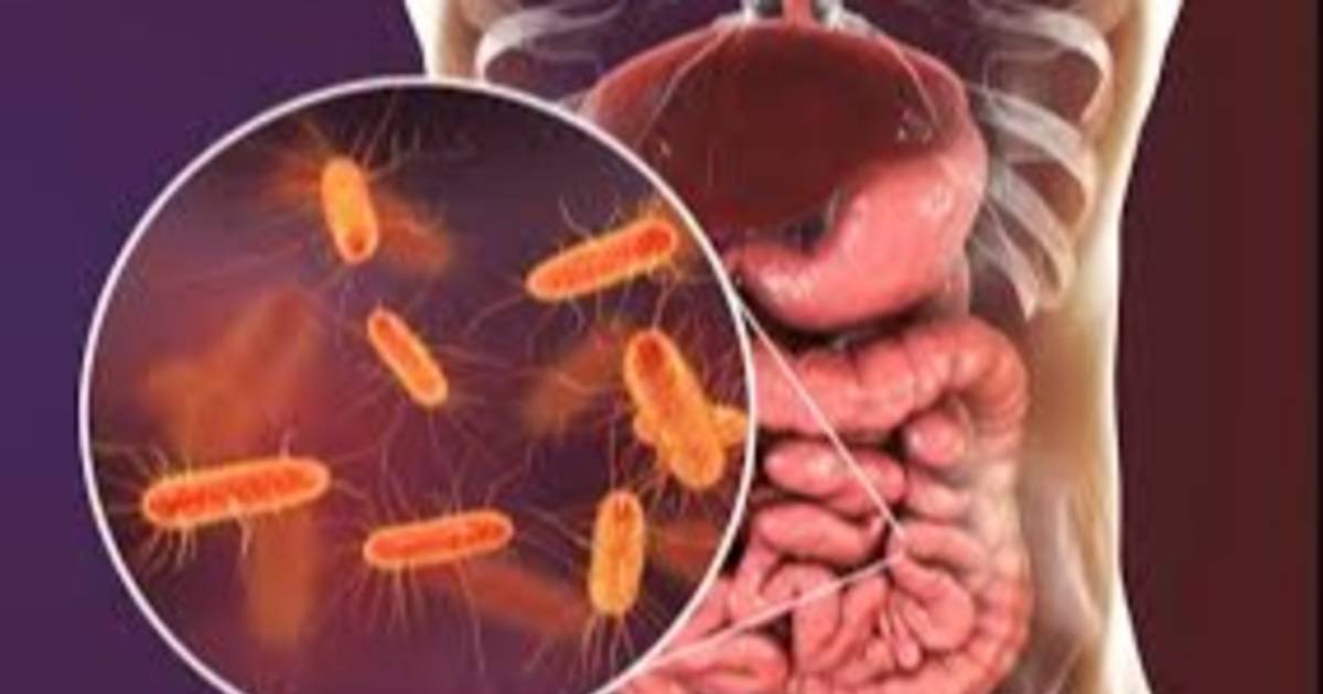 Alerta sanitaria por la aparición de Listeriosis