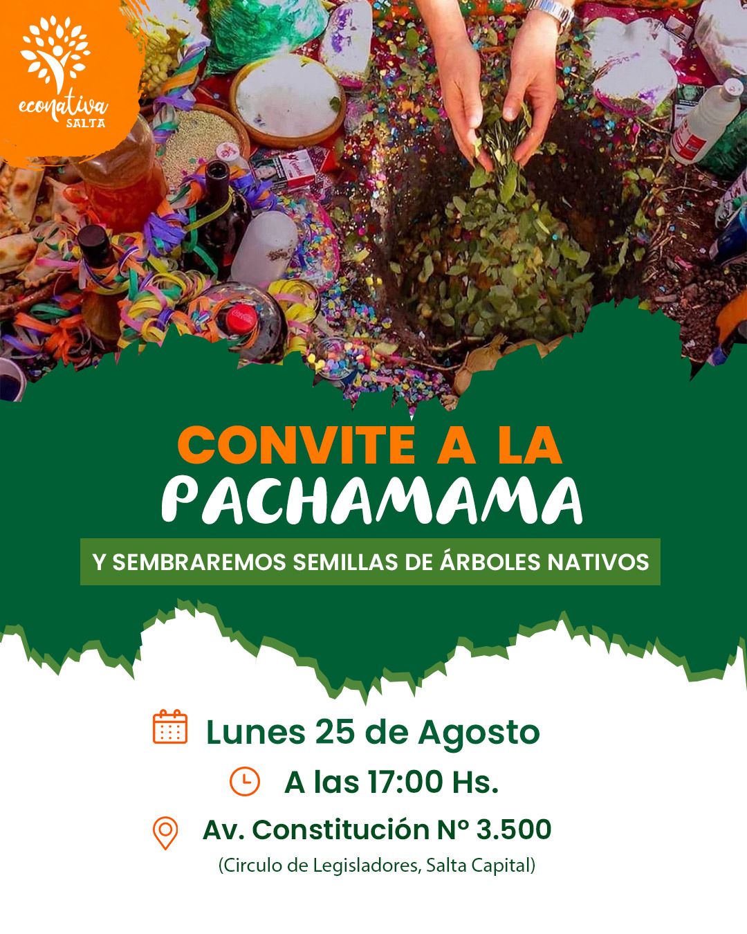 Fundación Eco Nativa celebra a la Pachamama con una siembra de árboles nativos