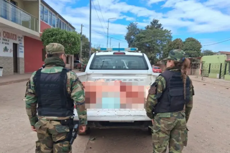 Decomisan más de 700 kilos de carne en mal estado en Apolinario Saravia